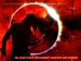 Samael-Wallpaper: As The Sun - Makro  (von Ravenlord)